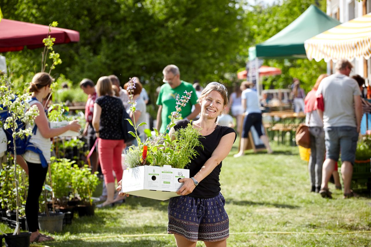 Jungpflanzen- und Tauschmarkt in Schiltern